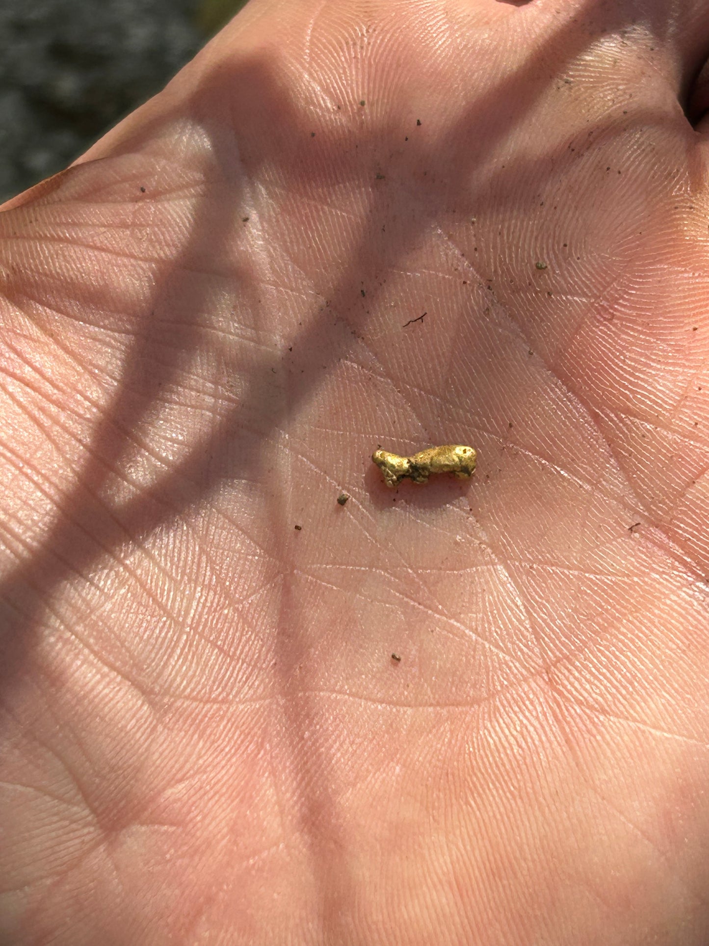 Metal Detecting Lesson - (Gold)